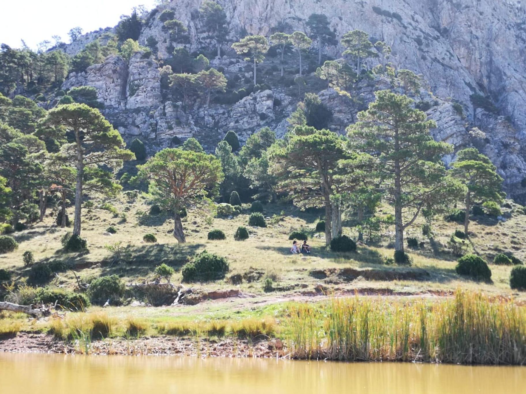 L'Antic Forn De Pauels Villa Exteriör bild