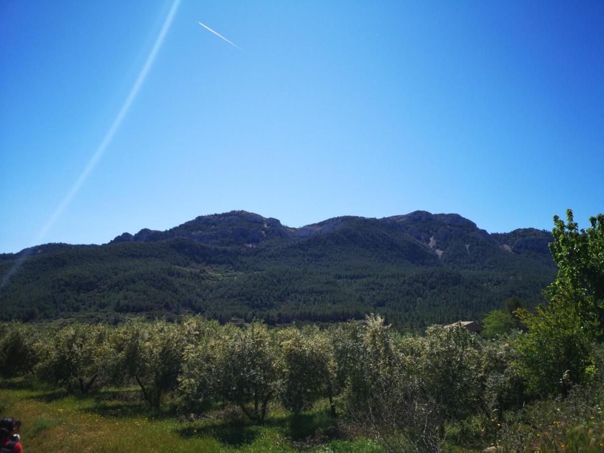 L'Antic Forn De Pauels Villa Exteriör bild